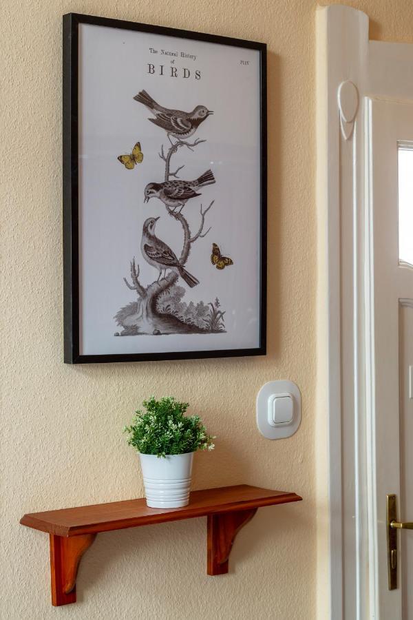Apartamento Deluxe Dream In The Center *